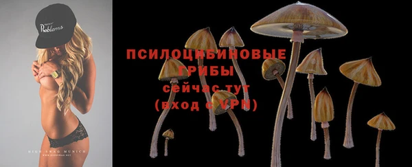 мяу мяу мука Алексеевка