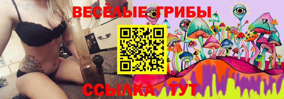 Менделеевск  Галлюциногенные грибы ЛСД  Вход с VPN 